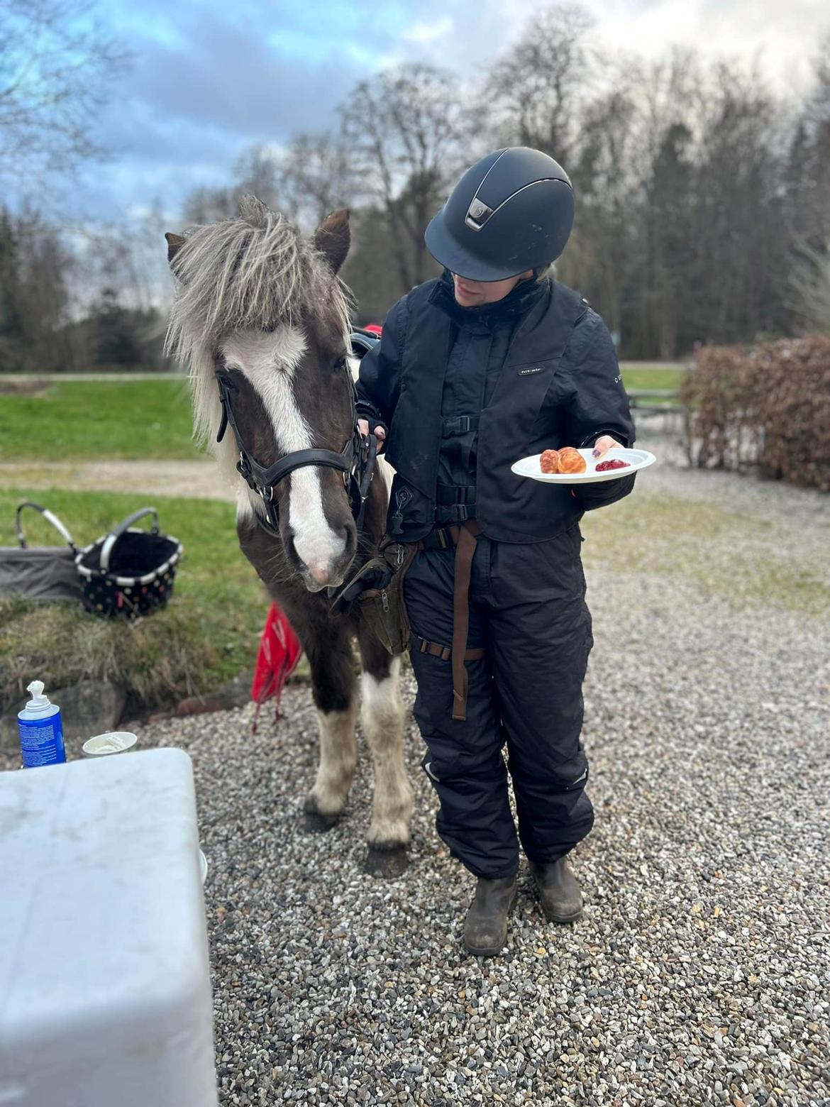 Islænder Silfur-Kria af Ledøje - Når man støder på en folk skønne mennesker og de invitere på æbleskiver <3 billede 7