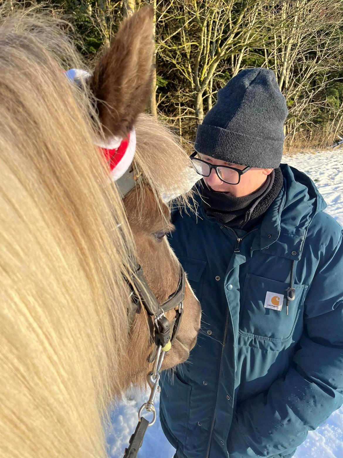 Islænder Silfur-Kria af Ledøje - Hun elsker min kærste Benjamin <3 billede 11