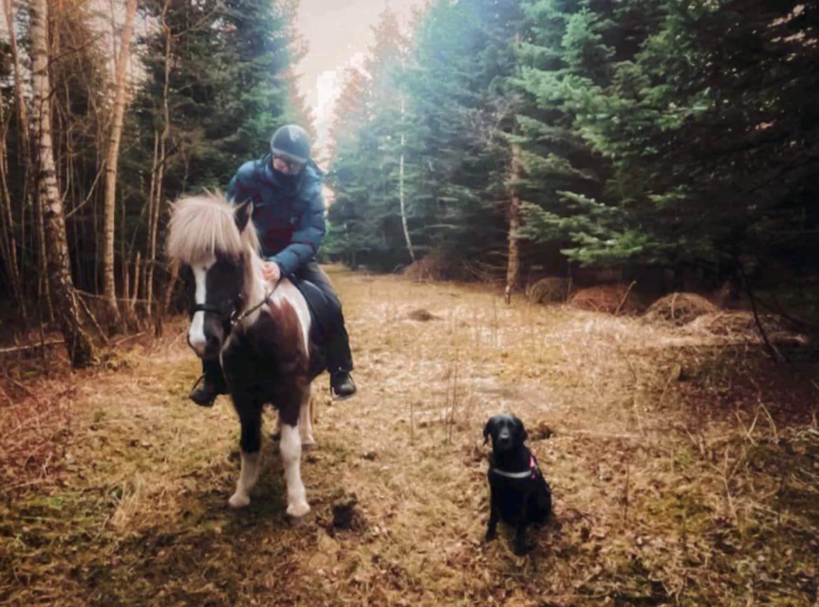 Islænder Silfur-Kria af Ledøje - My little furmily <3 Første gang min Kæreste rider hende! De red selv og Han travede enda på hende, og hun var bare så sød og passede godt på ham! <3  billede 14