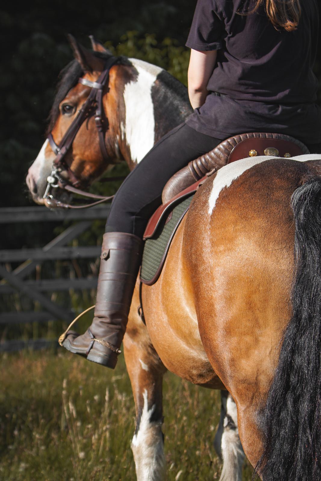 Anden særlig race Sir Louis of Gundelach billede 10