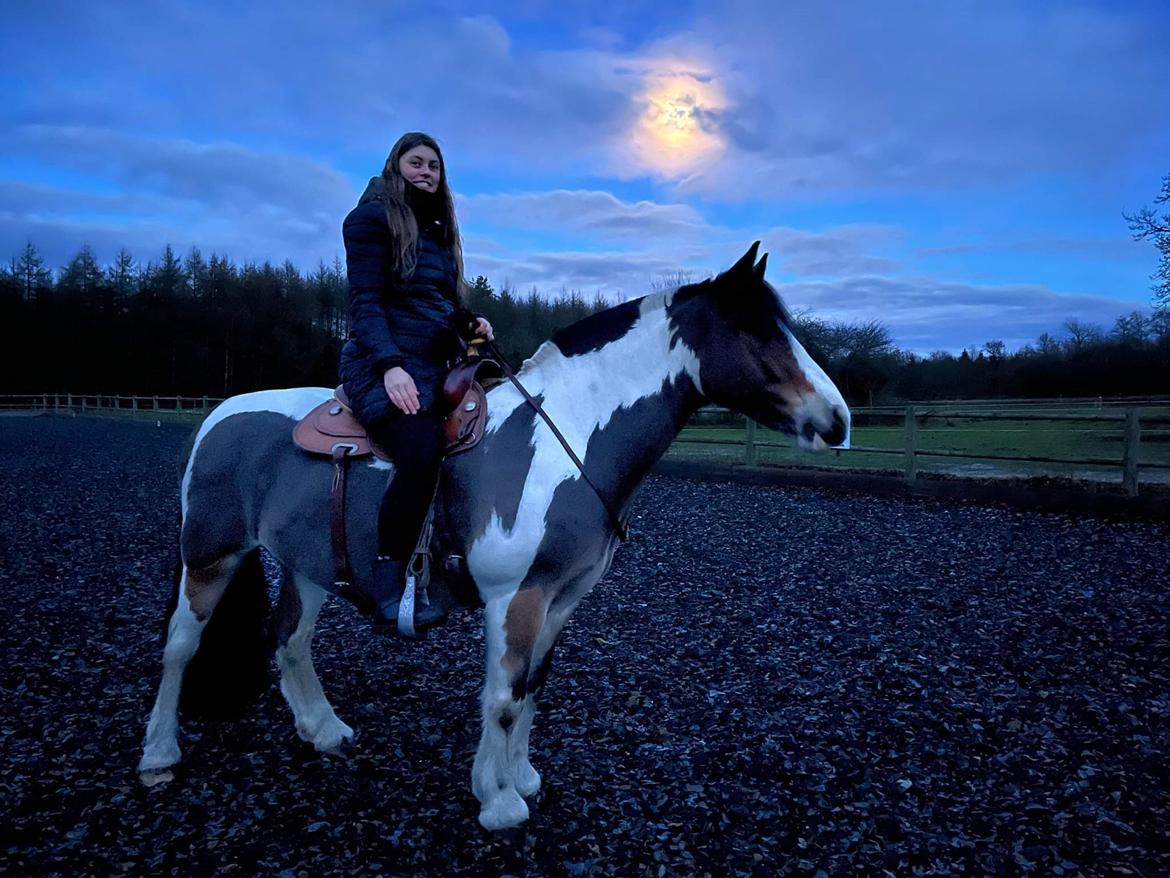 Anden særlig race Sir Louis of Gundelach billede 15
