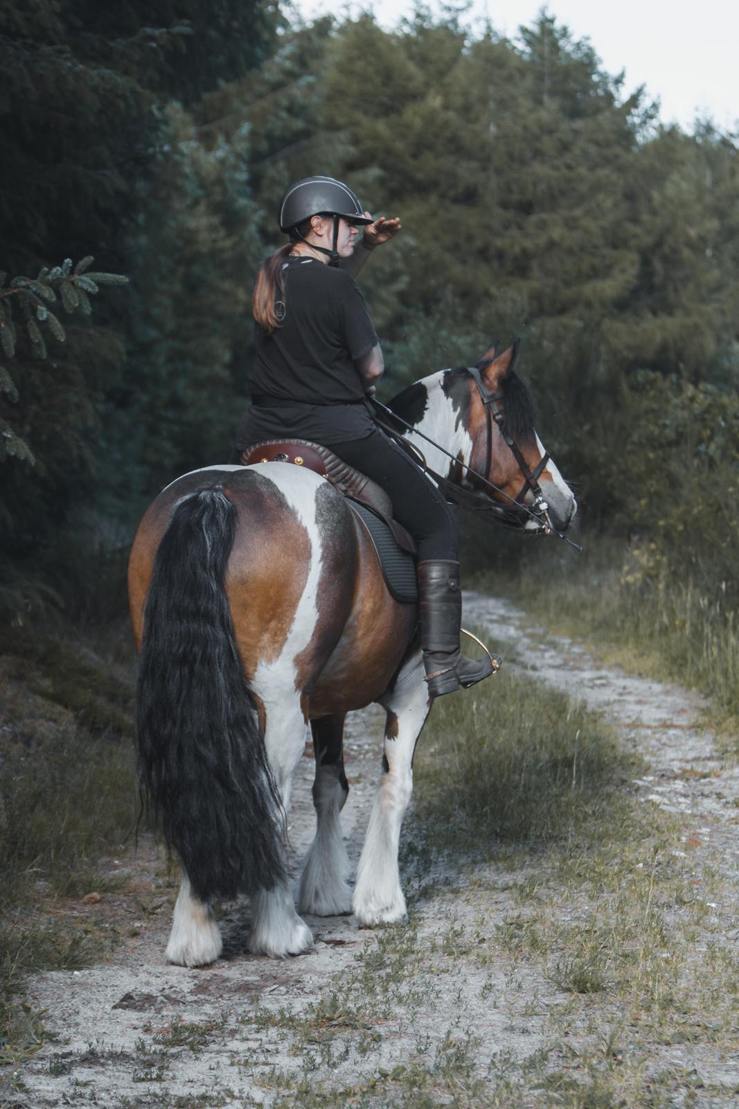 Anden særlig race Sir Louis of Gundelach billede 29
