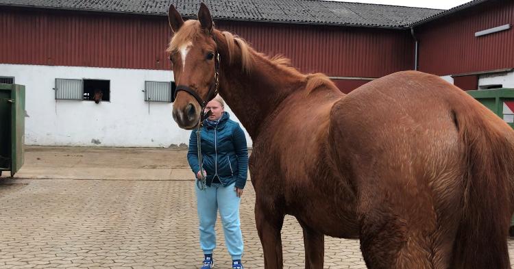 Tysk Varmblod Helvita Firfod - Dagen hun blev min 24.04.2023 billede 2