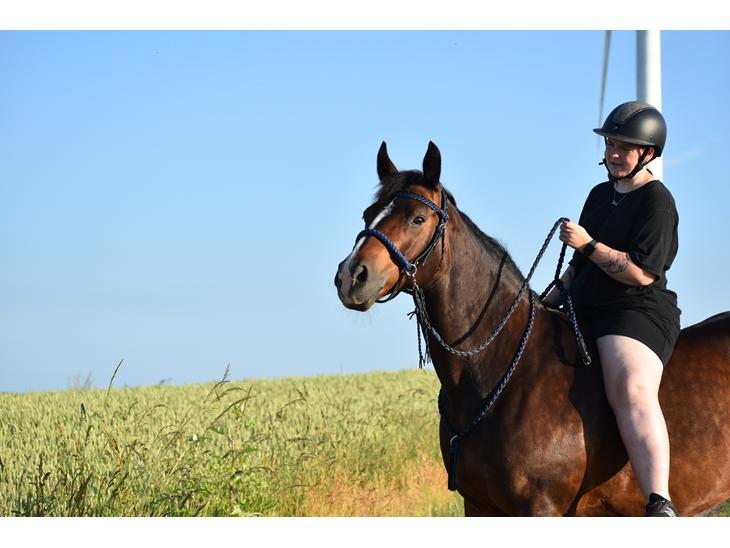 {{currentPhoto.altText}} billede {{currentPhoto.number}}