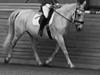 Oldenborg Brommehusets Olivia 