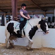 Tinker My Lucky Alana