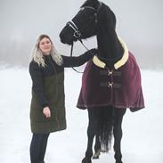 Oldenborg Stald PITO’S Leika 