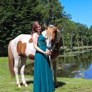 Pinto Bakkegårdens Kastania