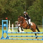 Anden særlig race LUCKY DESTINY