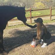 DSP Bæklunds Matine <3