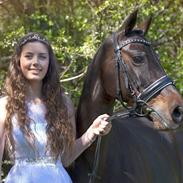 DSP Bæklunds Matine <3