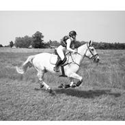 Oldenborg Brommehusets Olivia 