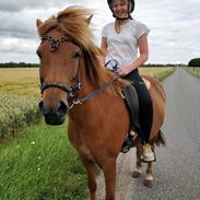 Islænder Sunna fra Ólafsvöllum