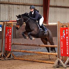 Anden særlig race TRUBKA'S RICARDO NIGHT