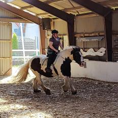 Tinker My Lucky Alana