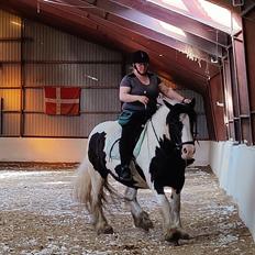 Tinker My Lucky Alana