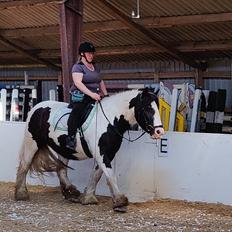 Tinker My Lucky Alana