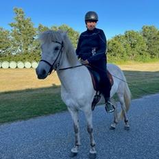 Islænder Salka Valka fra Bymosen