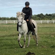 Islænder Salka Valka fra Bymosen