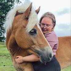 Haflinger Rosègold
