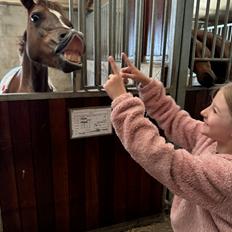 Welsh Pony (sec B) Bjerregaards Zenta 