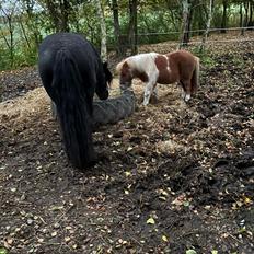 Anden særlig race Supermand