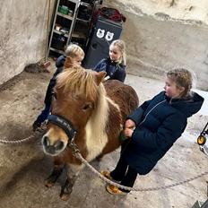 Anden særlig race Supermand