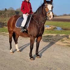 New Forest Flintdales Remember 