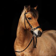 DSP Maude af Mølleagergaard