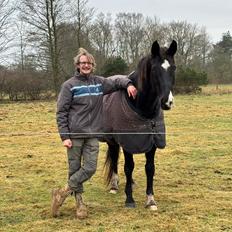 Anden særlig race Starlight (Part)