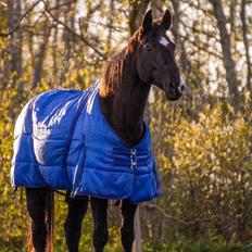 Anden særlig race Starlight (Part)