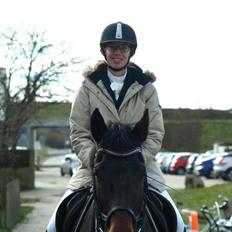 Dansk Varmblod Savah