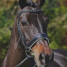 DSP Bæklunds Matine <3