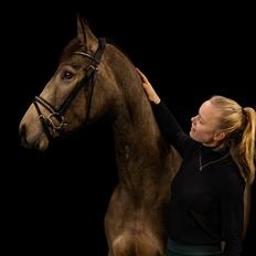 Anden særlig race Højlund's Cassandra (Cassie)