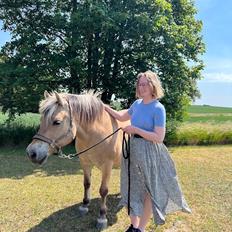 Fjordhest Lindelys Freja (Pony)