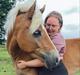 Haflinger Rosègold