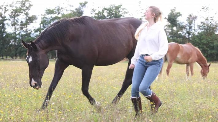 Anden særlig race Starlight billede 15