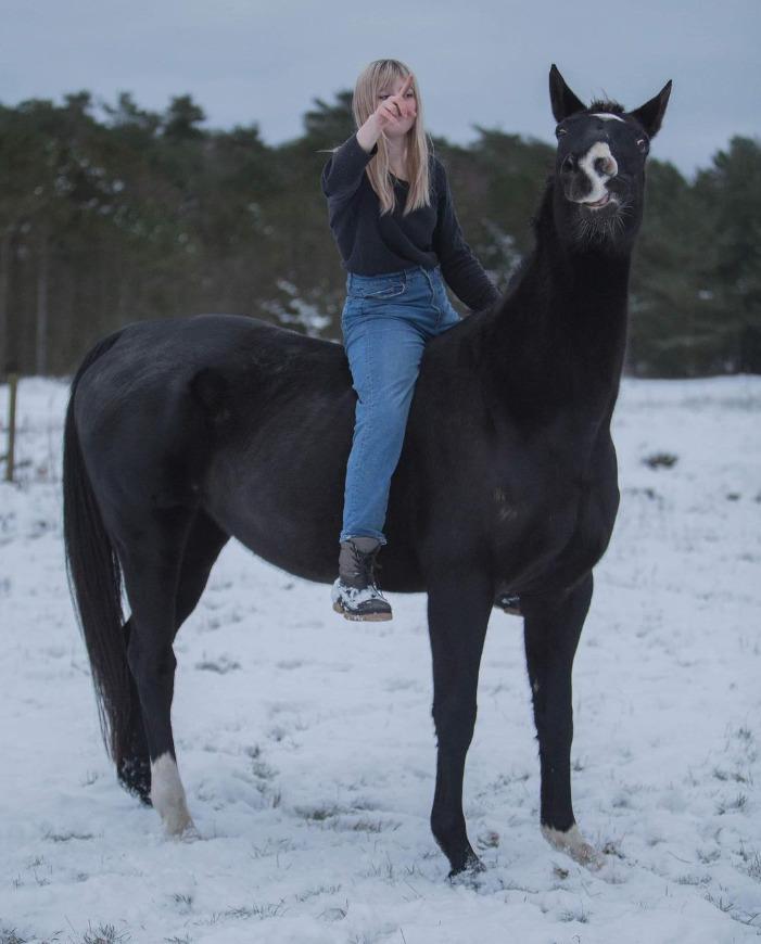 Anden særlig race Starlight billede 1