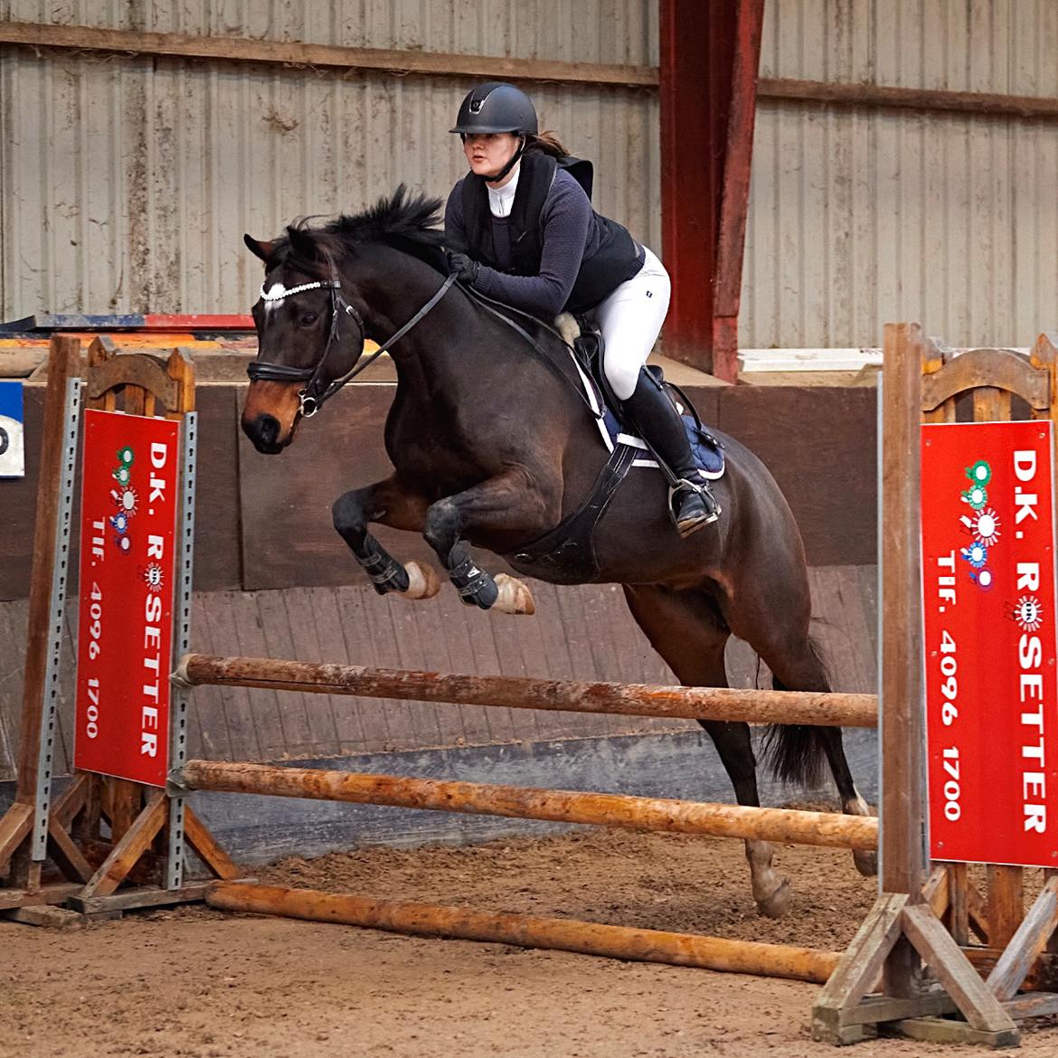 Anden særlig race TRUBKA'S RICARDO NIGHT billede 2