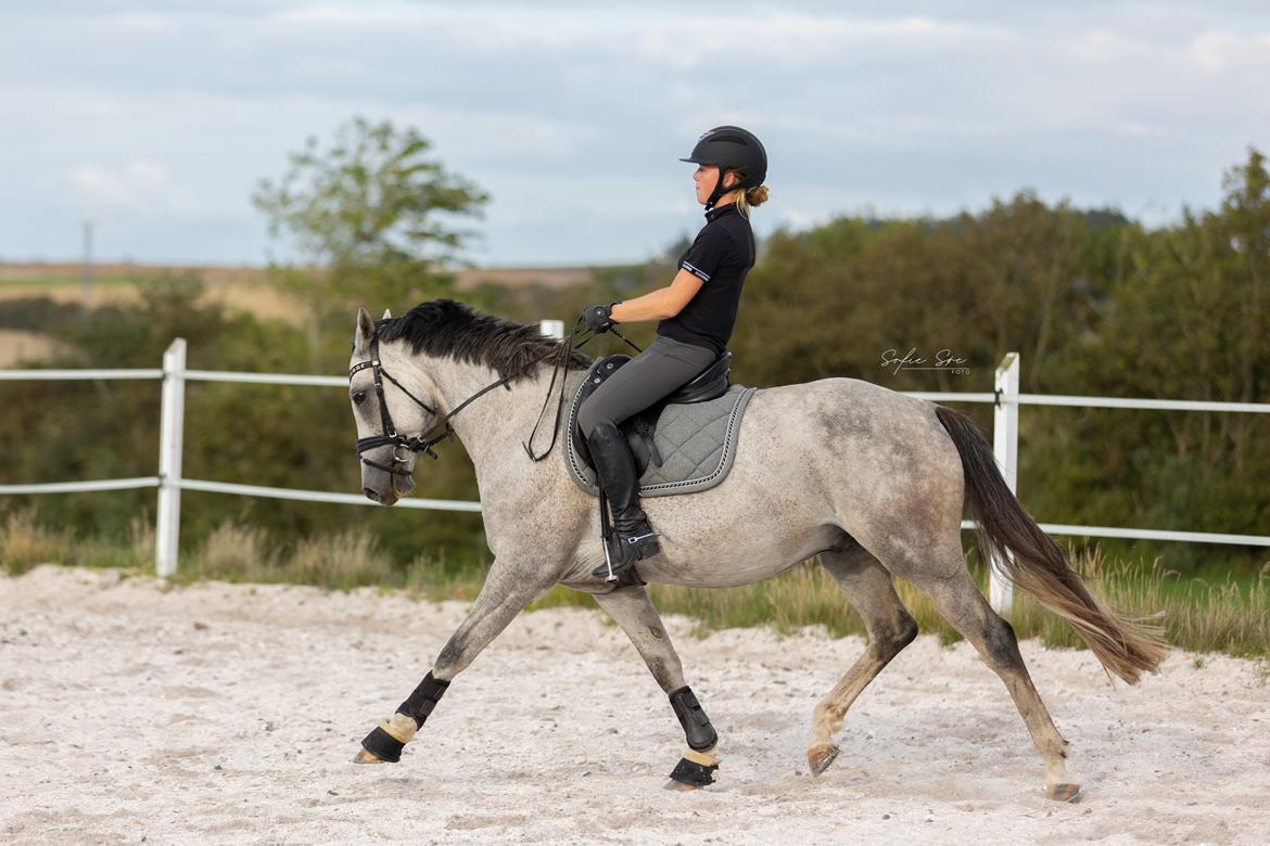 DSP DUPLO-VITZ billede 7