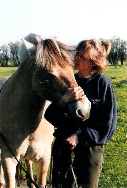 Fjordhest Lina billede 6