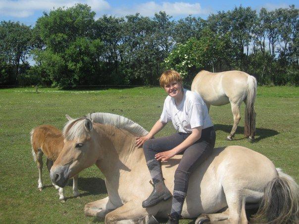 Fjordhest Lina billede 7