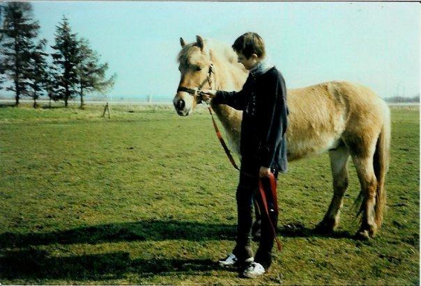 Anden særlig race Yellow billede 2