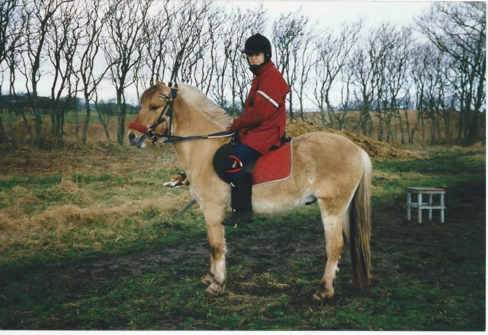 Anden særlig race Yellow billede 12