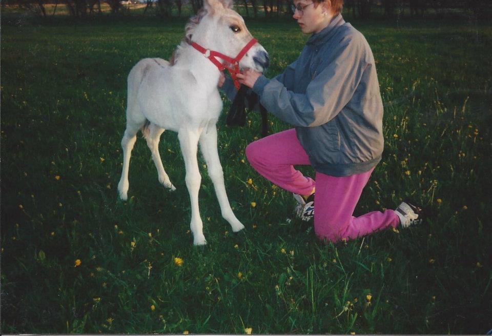 Anden særlig race Yellow billede 13