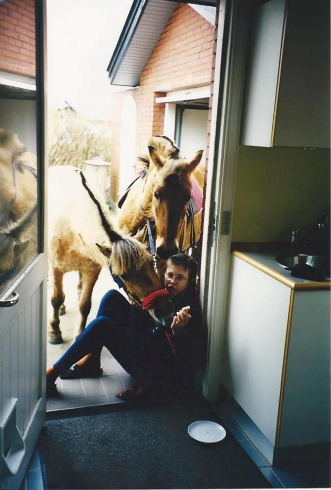 Anden særlig race Yellow billede 14