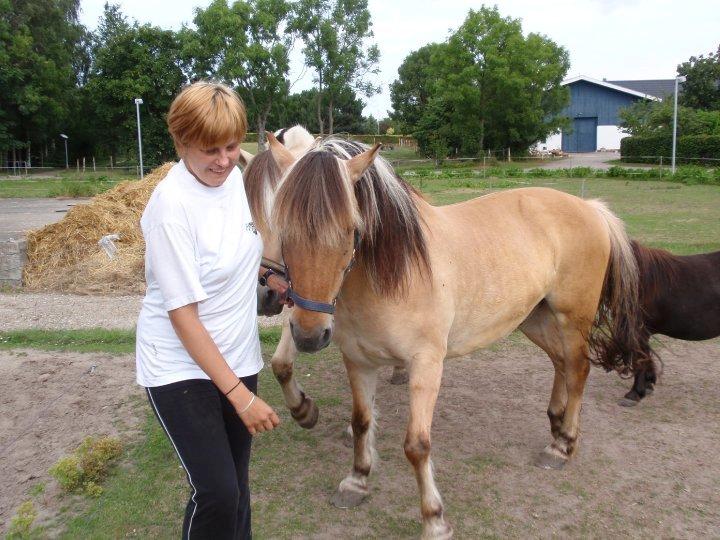 Anden særlig race Yellow billede 7