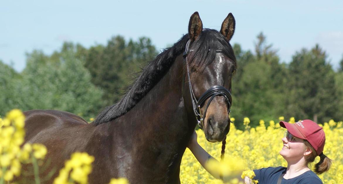 Anden særlig race Stald B's Be Curious billede 11