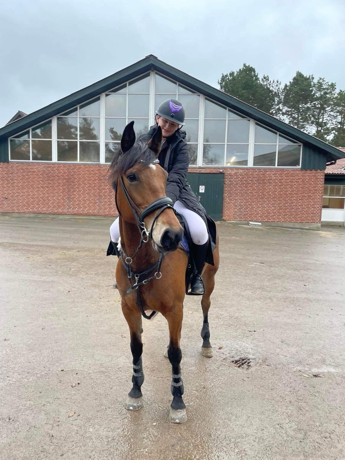 Anden særlig race Dreamer billede 2