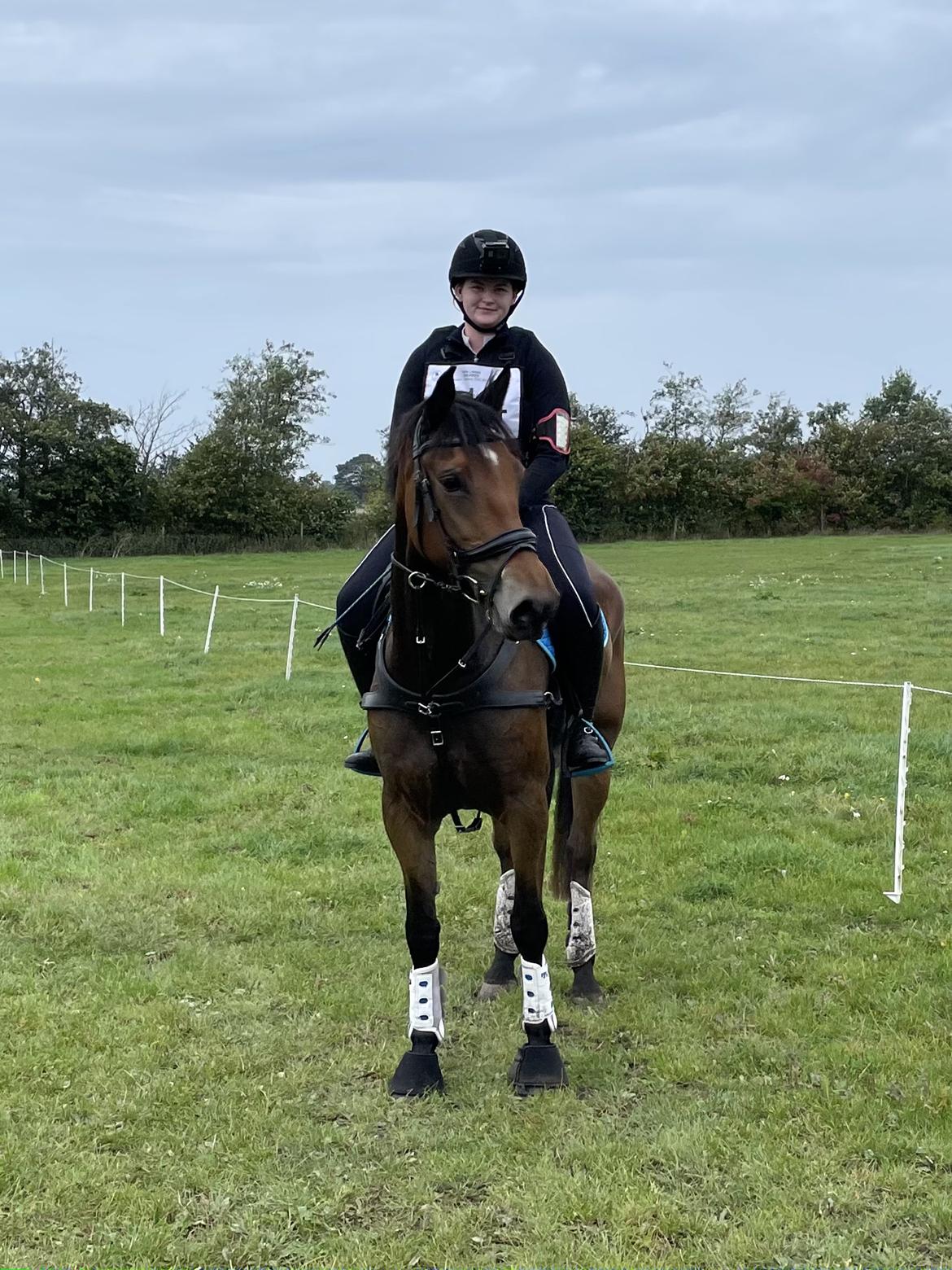 Anden særlig race Dreamer billede 4